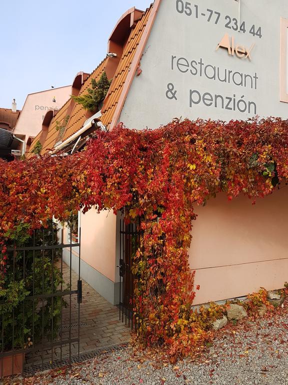 Alex Pension Prešov Esterno foto