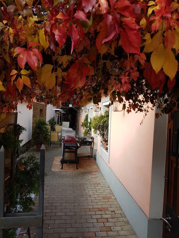 Alex Pension Prešov Esterno foto